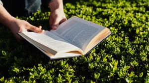 Foundational Literacy and Numeracy: Aligning with New Education Policy
