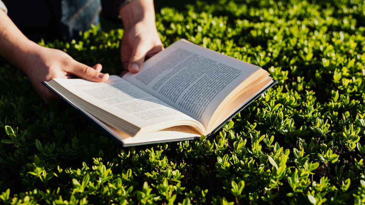 Foundational Literacy and Numeracy: Aligning with New Education Policy